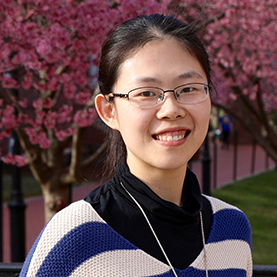 DiLiu Di Liu